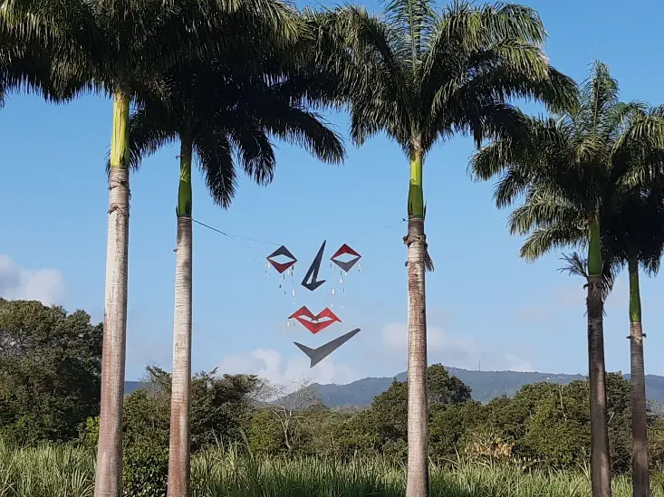 masque suspendu dans les abres, soleil de face